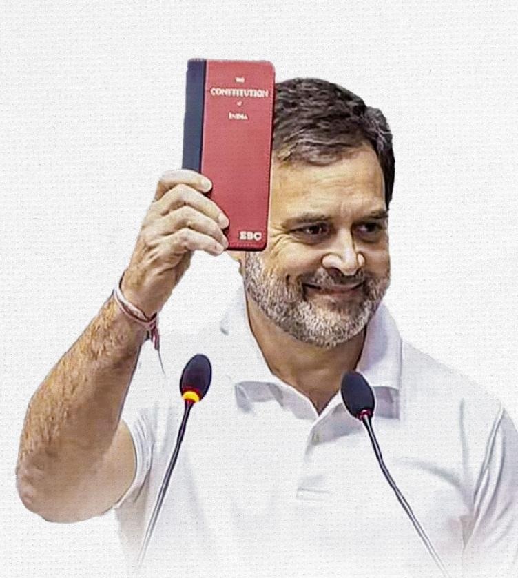 Clean Parliament portrait
